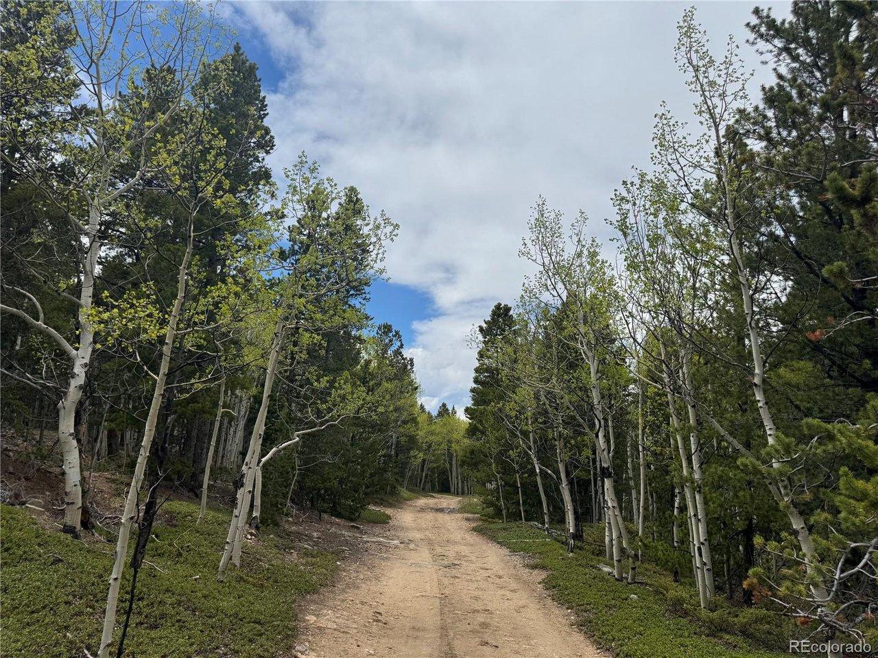 Image 4 Image 4