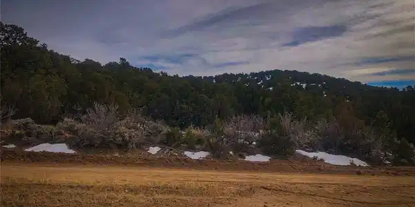 Image 3 Image 3