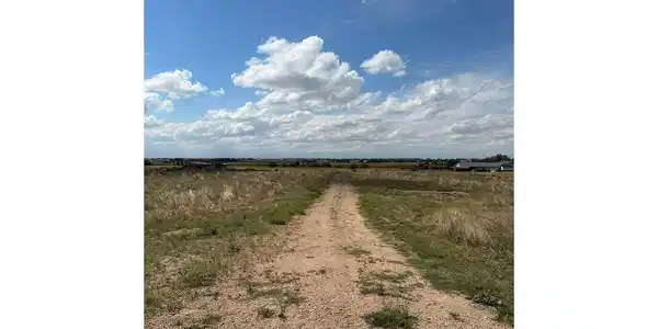 Image 4 Image 4