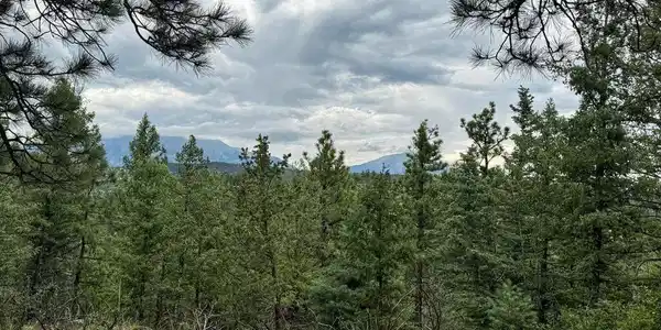 Image 4 Image 4