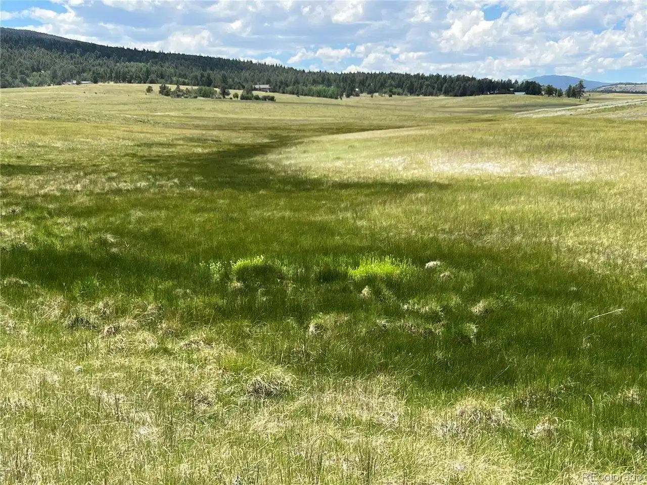 Image 1: sub-irrigated Wetlands