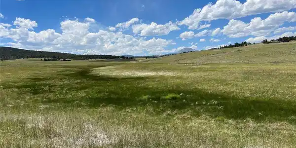 Image 2: Wetland Habitat