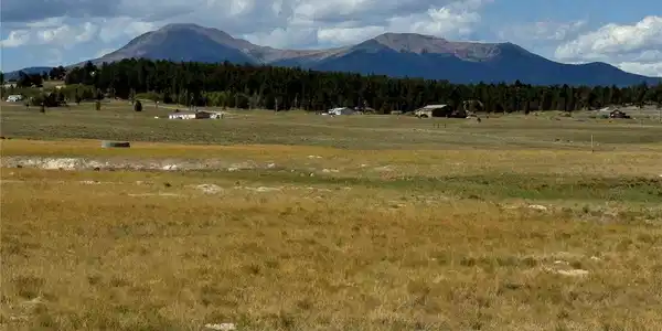 3 Ranch
