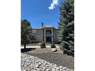 49 Golden Eagle Ln