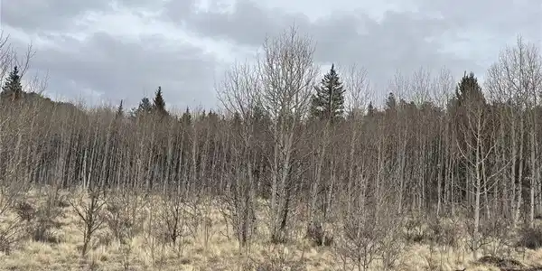 Image 4 Image 4