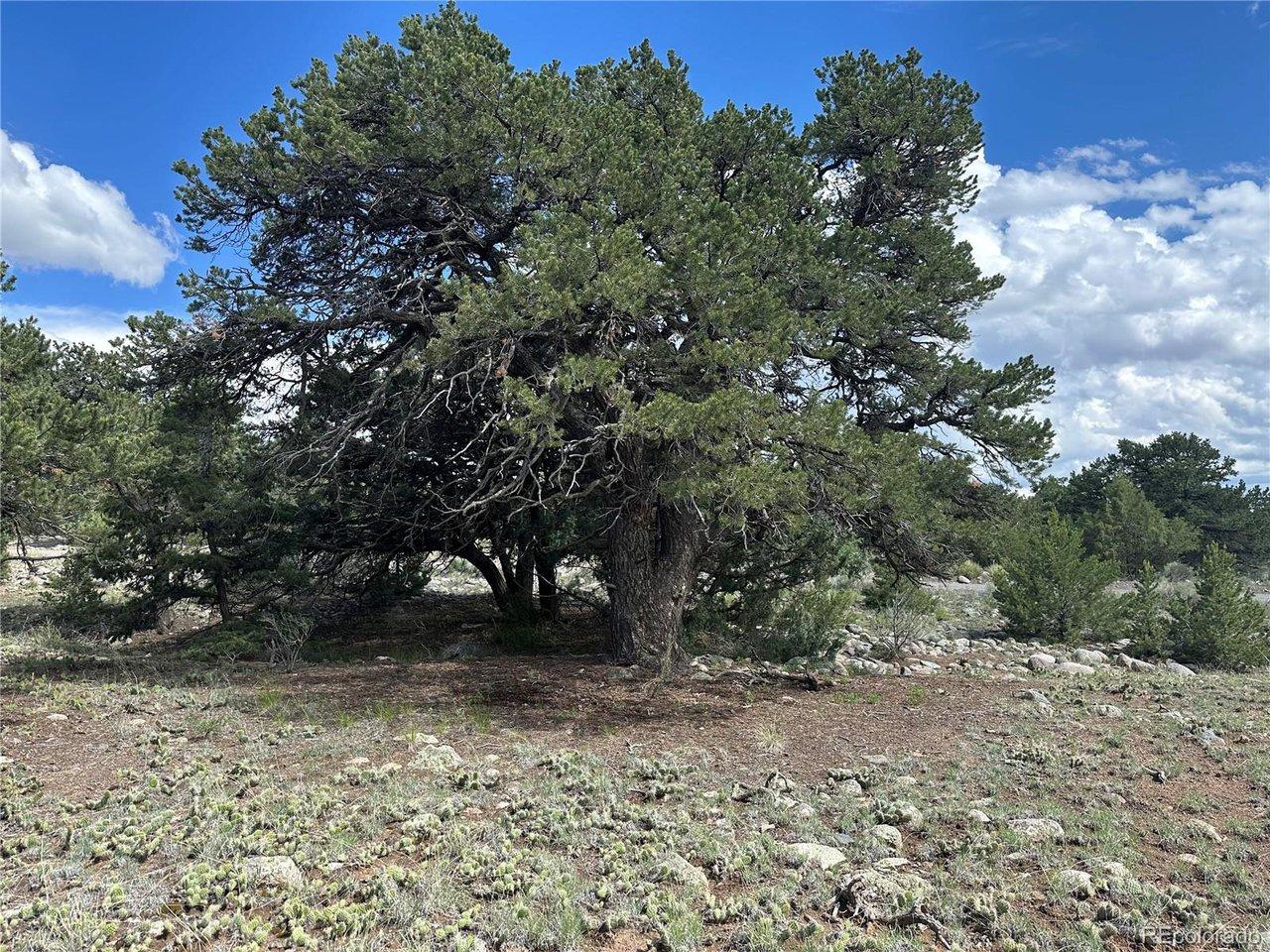 Image 4 Image 4
