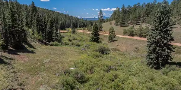 Image 4 Image 4