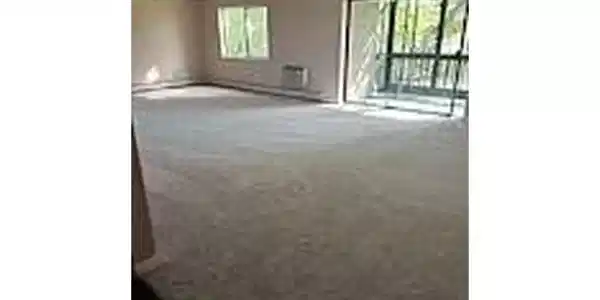 Image 4: Living Room w/NEW CARPET! Image 4: Living Room w/NEW CARPET!
