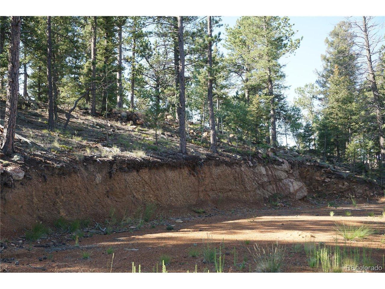 Image 2: Build Site