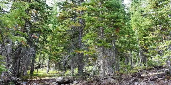 Image 3 Image 3