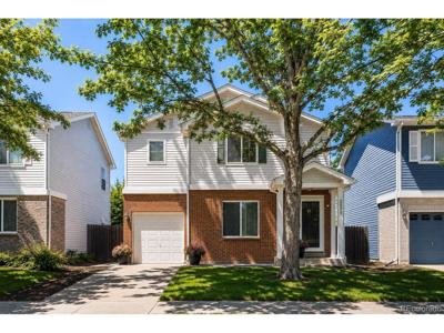 3637 Dexter Ct