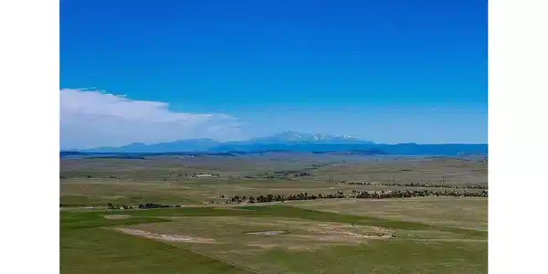 Image 4 Image 4