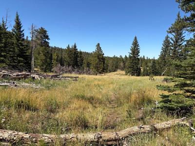 Pratt Creek Rd