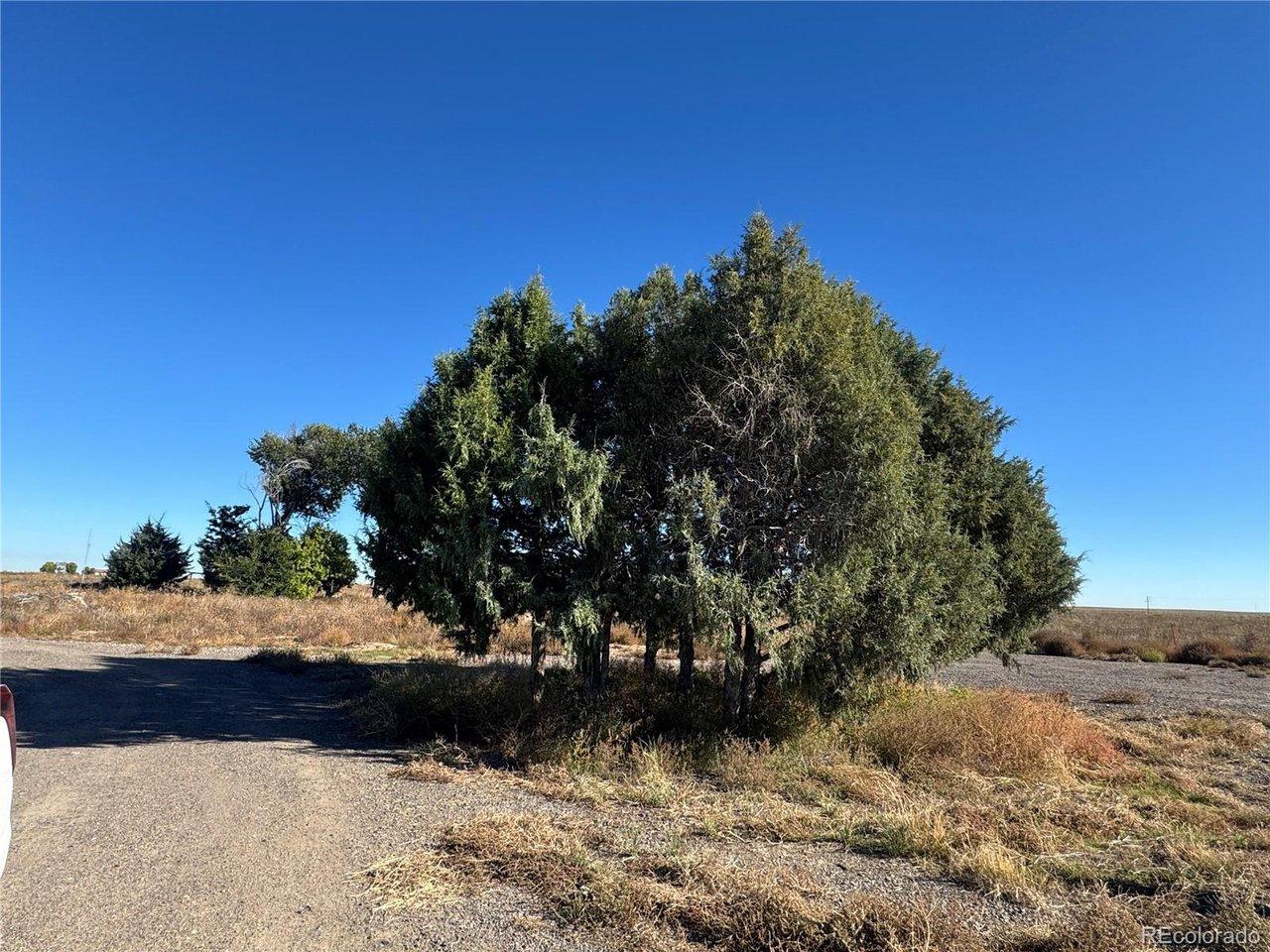 Image 1: There is a dirt road to get you to the north end of the property
