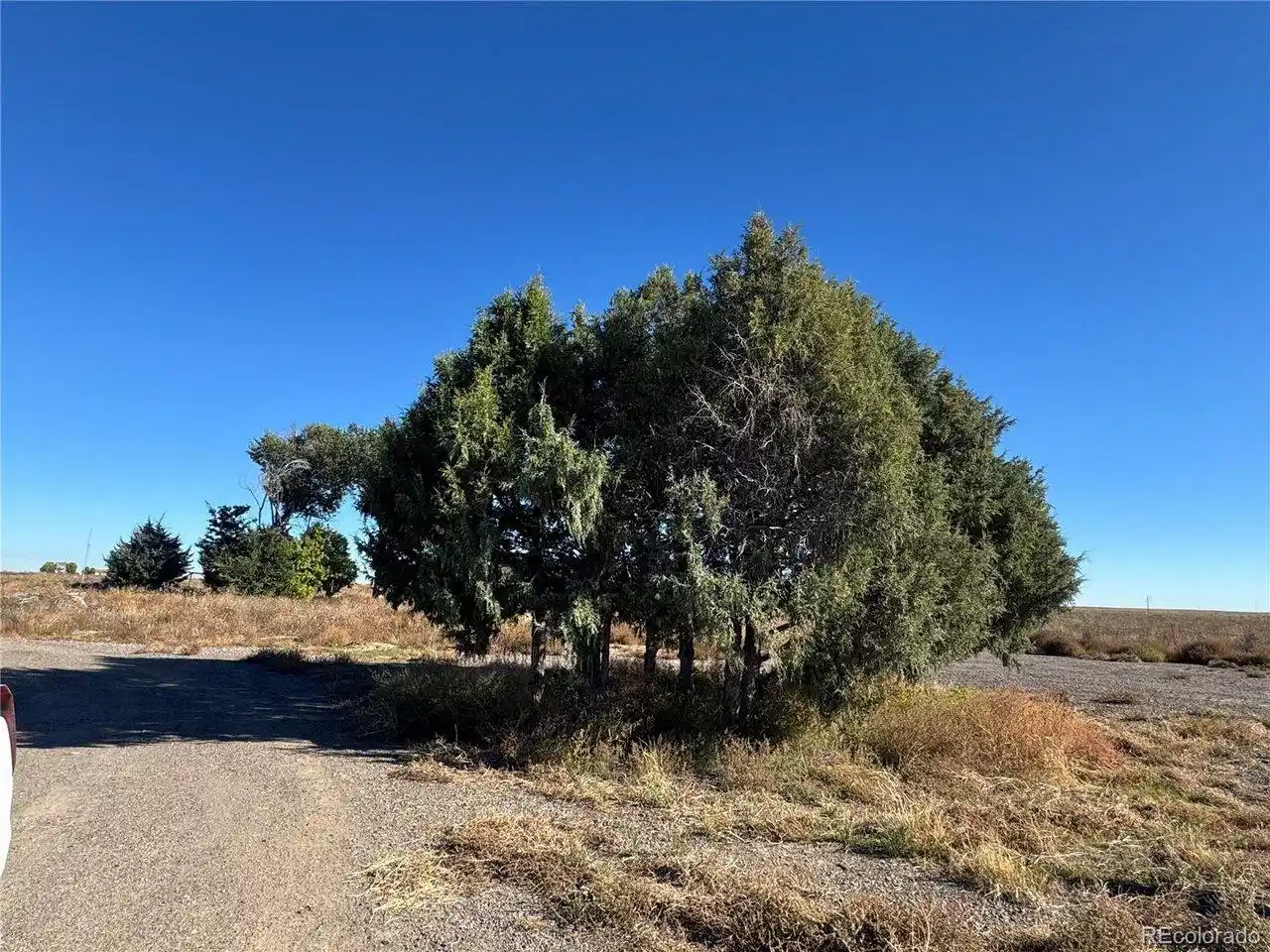 Image 1: There is a dirt road to get you to the north end of the property Image 1: There is a dirt road to get you to the north end of the property