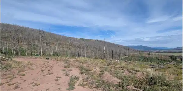 Image 4 Image 4
