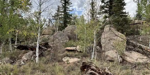 Image 2 Image 2