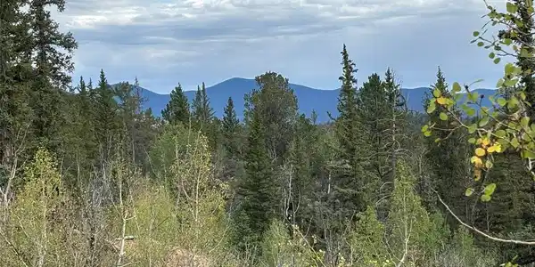 Image 4 Image 4
