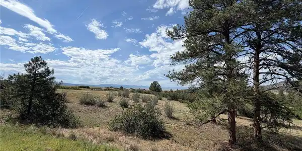 Image 3 Image 3