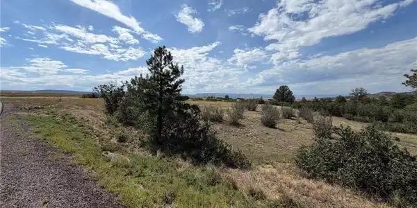 Image 4 Image 4