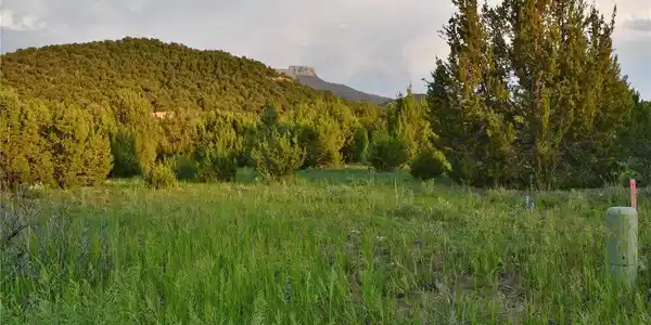 Image 4 Image 4