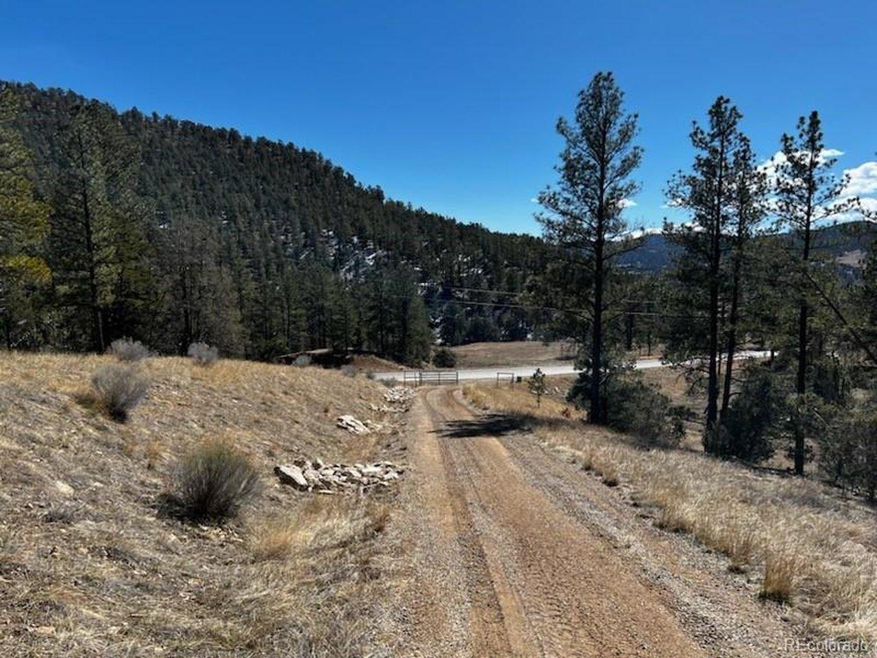 Image 1: Road on Property
