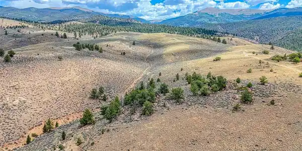 Image 2: Looking East toward top of property