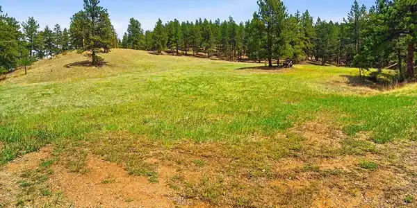Image 4: Yard