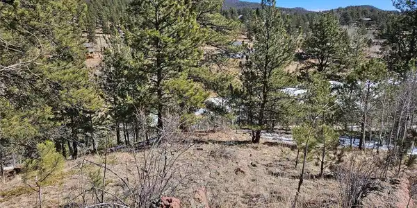 Image 4 Image 4