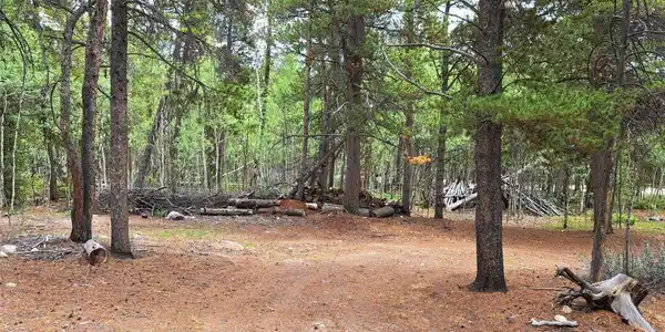 Image 3 Image 3
