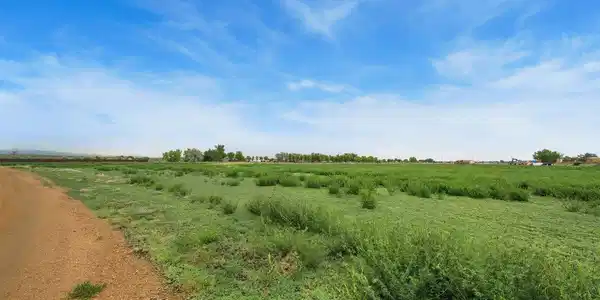 Image 2 Image 2