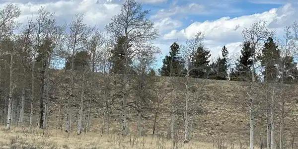 Image 2: Abundant Wildlife