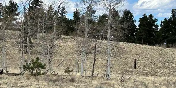 Image 4: Beautiful Nature