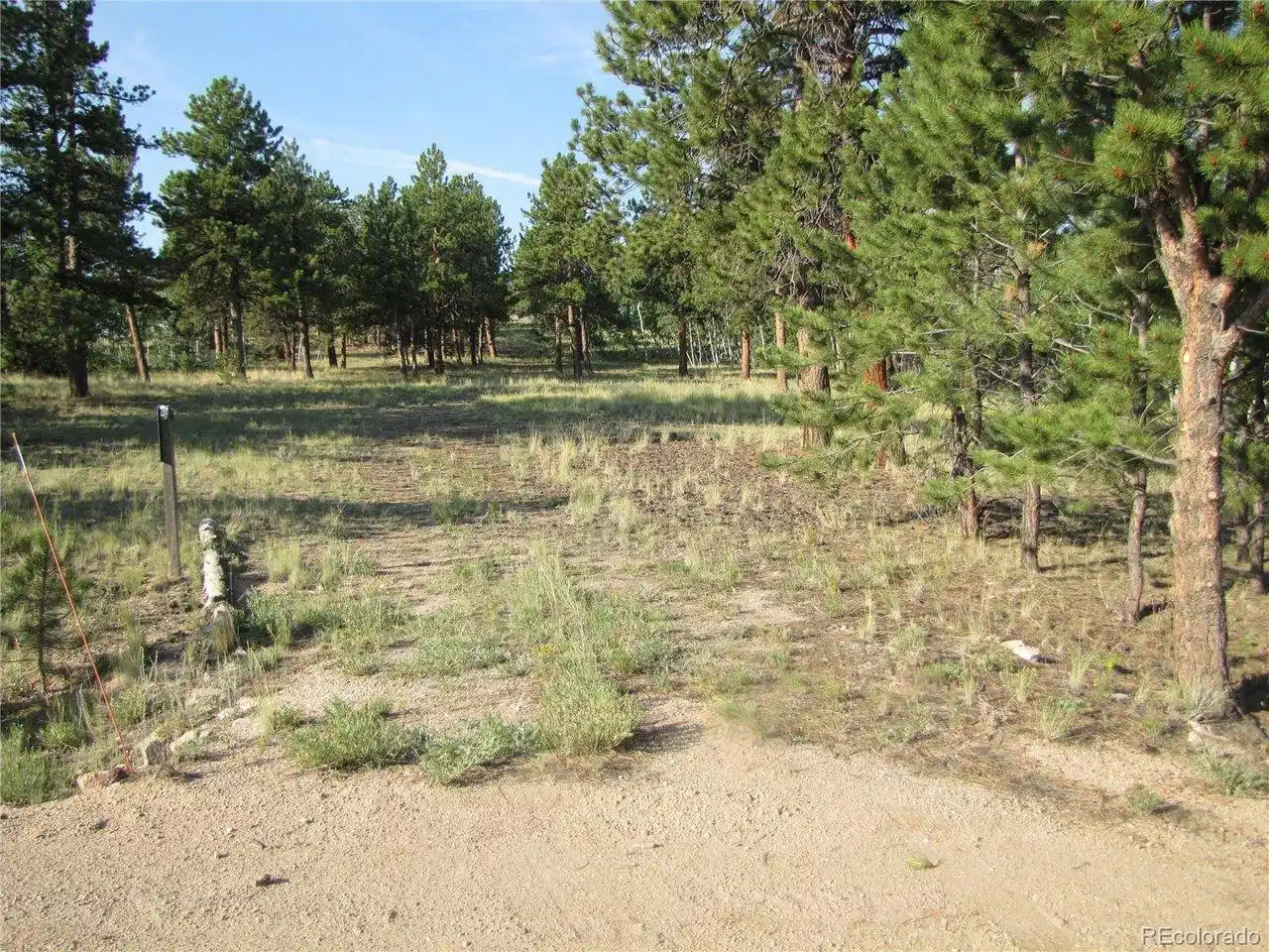 Image 1 Image 1