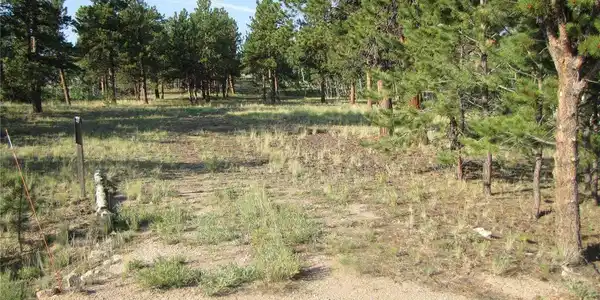 9798 Ranch Rd