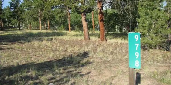 Image 2 Image 2
