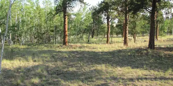 Image 4 Image 4