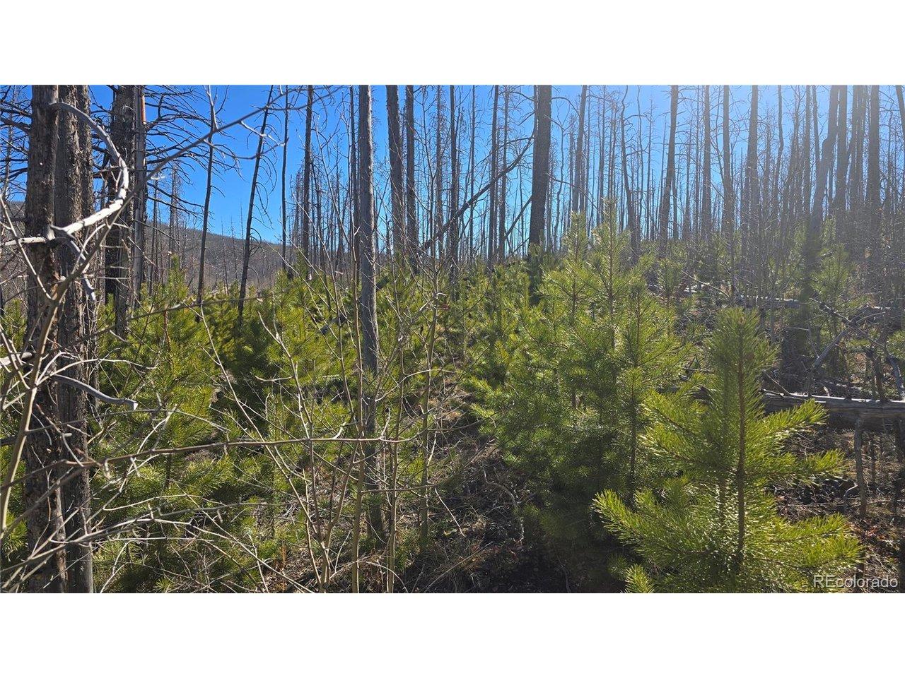 Image 4 Image 4