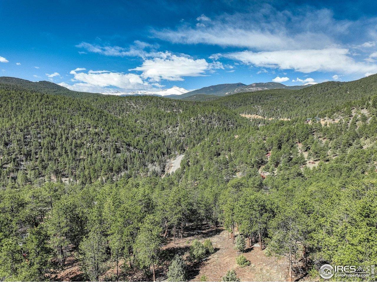 Image 3: Lot 3 & 4 total 1.5 acres of vacant land.