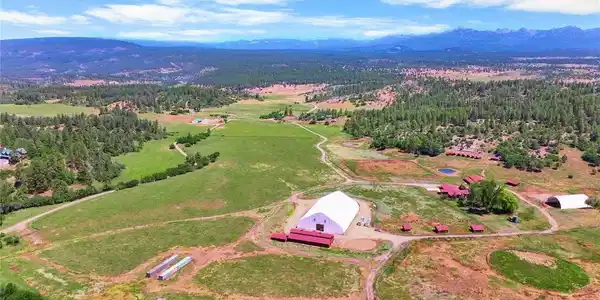 1134 Parelli Institute Dr