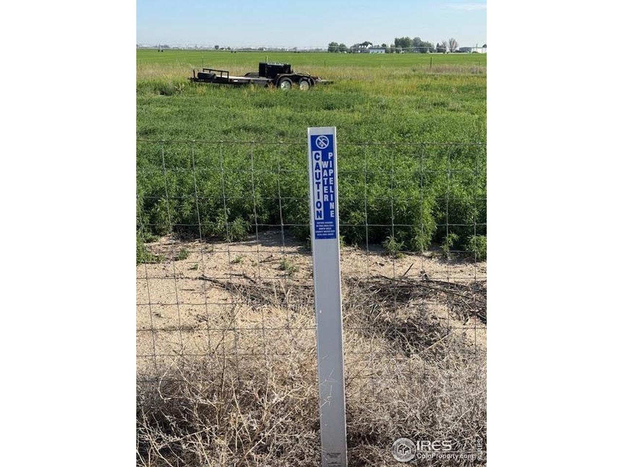Image 3: Water Tap marker.  Tap just inside the fence