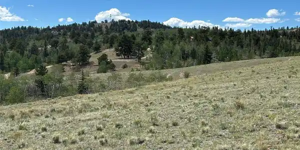 Image 3 Image 3