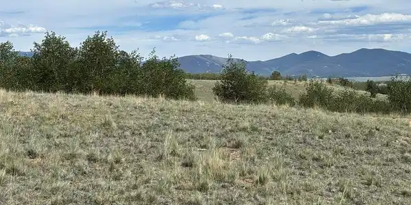 Image 4 Image 4
