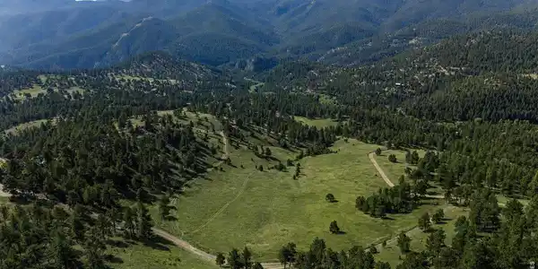 Image 4 Image 4
