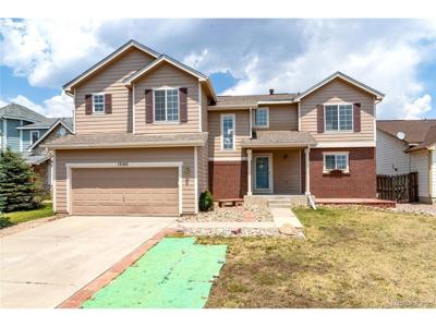17165 Mountain Lake Dr