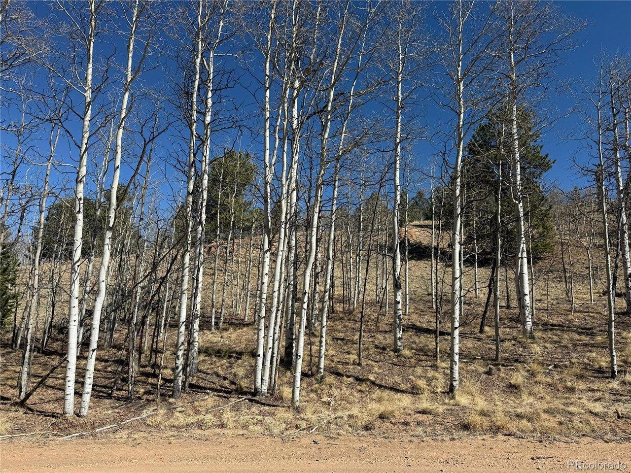 Image 4 Image 4