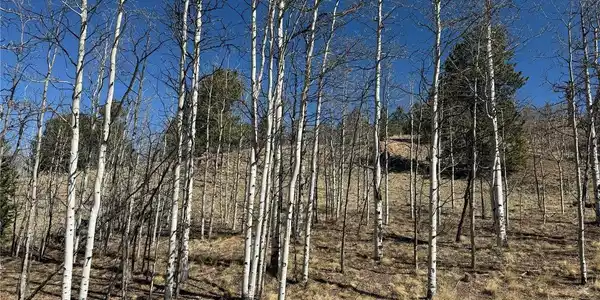 Image 4 Image 4