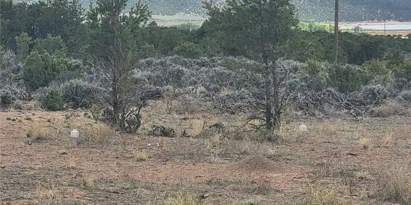 Image 3 Image 3