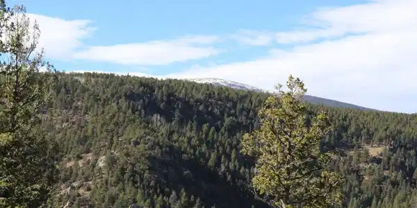 Image 3: Niwot Mtn in distance