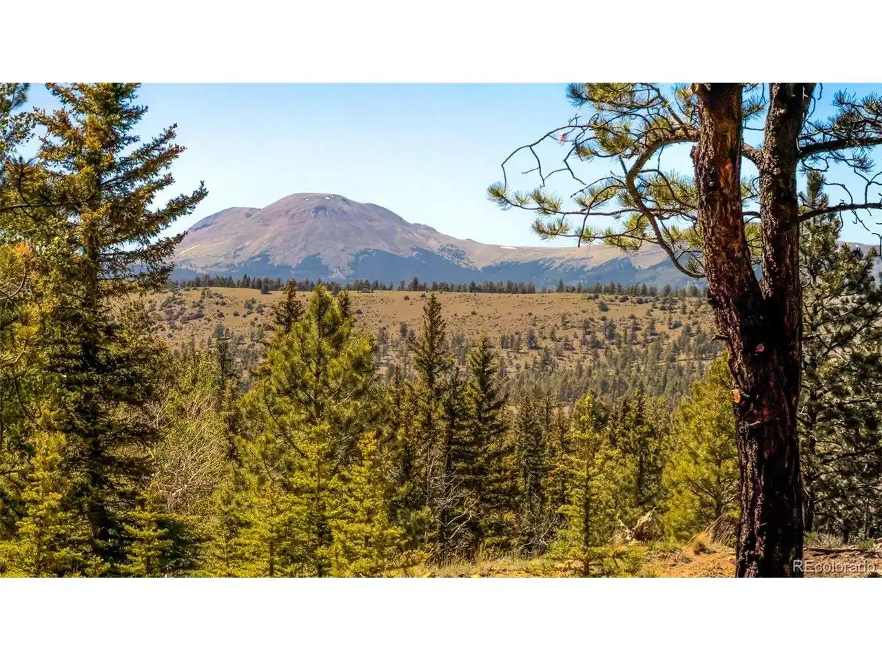 Image 1: Views of the Buffalo Peaks Wilderness